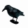 Vogelschreck Krähe