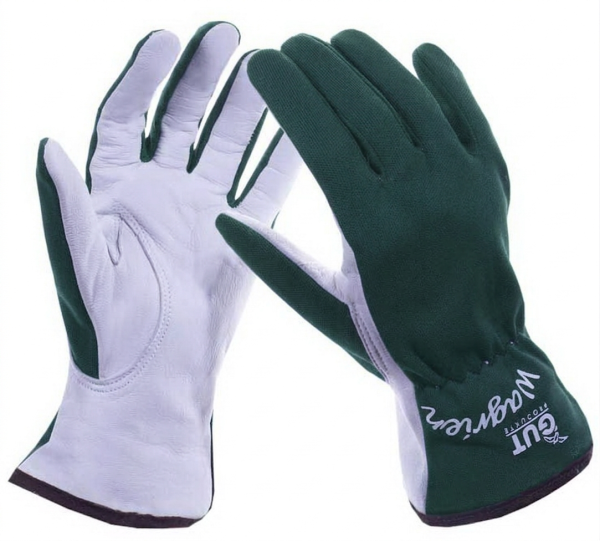 Handschuh Wagrien grün