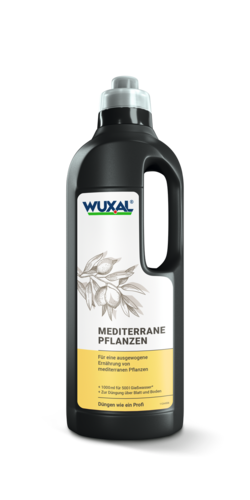 Mediterrane Pflanzen Dünger 250ml