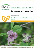 Schokoladenwein essbar