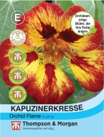 Kapuzinerkresse Orchid Flame