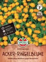 Acker-Ringelblume Frühlingssonne