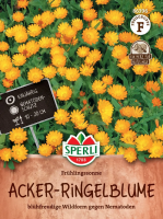 Acker-Ringelblume Frühlingssonne