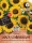 Snacksonnenblume Peredovick 100cm