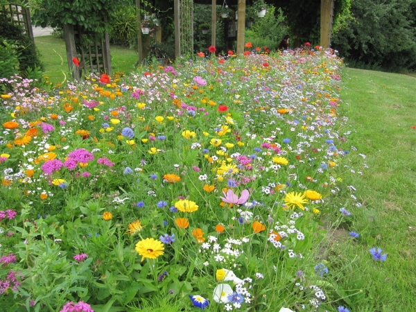 Blumenwiese Super Premium Mix 300m²