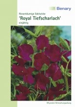 Wicke Royal Tiefscharlach