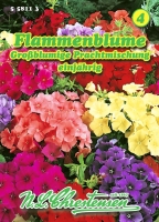 Flammenblume Grandifora Prachtmischung