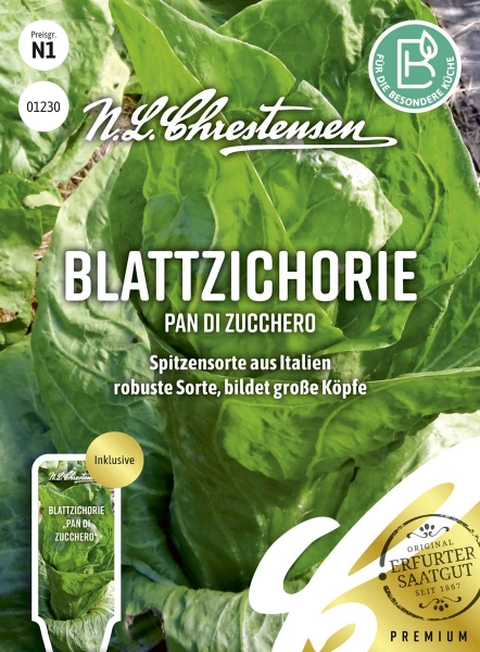 Blattzichorie Pan di Zucchero MHD 01/26