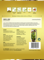 Blattzichorie Pan di Zucchero MHD 01/26