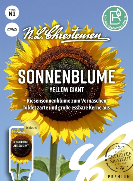 Sonnenblume Yellow Giant 2,5 m