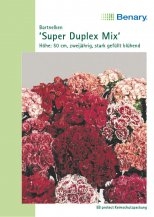 Bartnelke Super Duplex Mix