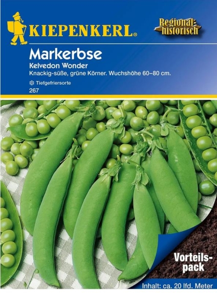 Markerbse Kelvedon Wonder 175g