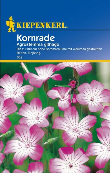 Agrostemma Kornrade MHD 01/26