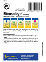 Elfenspiegel Nemesia Märchenzauber MHD 01/26