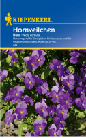 Hornveilchen Viola blau