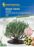 Thymian Simply Herbs, mehrjährig