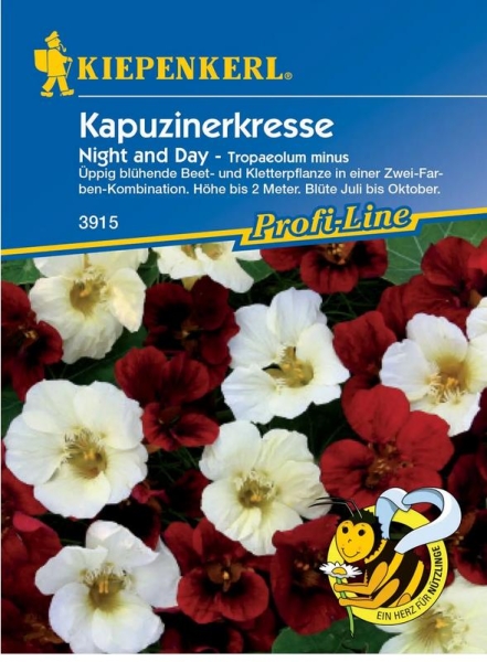 Kapuzinerkresse Night & Day, rot-weiß