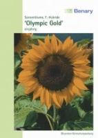 Sonnenblume ca.140cm Olympic Gold