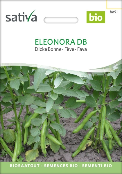 Bio-Bohne Eleonora DB