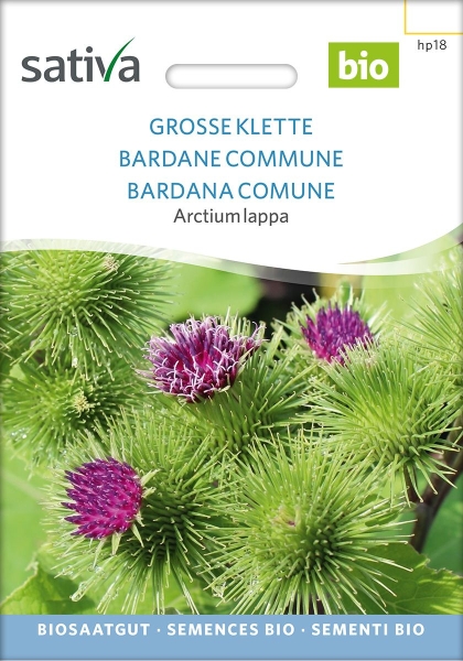 Bio-Heilpflanze Große Klette