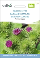 Bio-Heilpflanze Große Klette