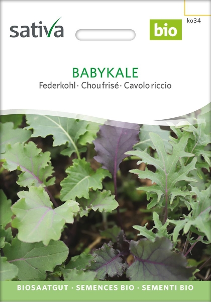 Bio Grünkohl Babykale