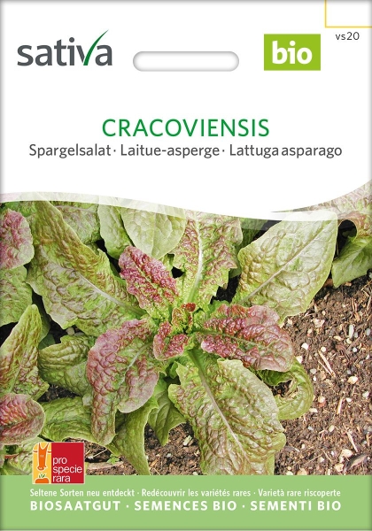 Bio Spargelsalat Cracovienesis