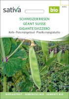 Bio Zuckererbse Schweizer Riesen