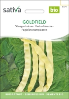 Bio Stangenbohne Goldfield