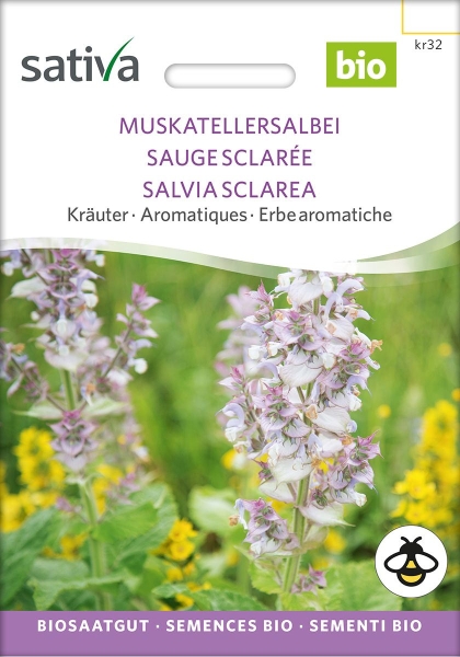 Bio Muskateller Salbei