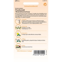 Prunkwinde Windmühlenmix MHD 01/26