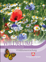 Wildblume Wildblumenmischung
