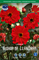 Dahlie Bishop of Llandaff