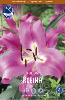 Baumlilie Robina