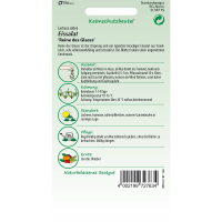 Eissalat Reine des Glaces MHD 01/26