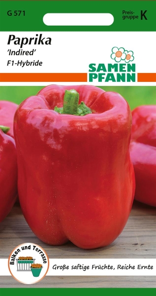 Paprika Indired F1 MHD 01/26