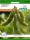 Sojabohne Edamame Green Shell MHD 01/26