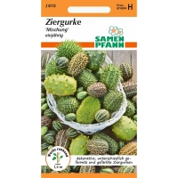 Ziergurken Mischung MHD 01/26