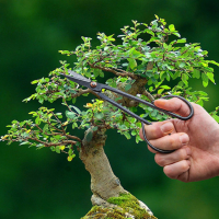 Bonsai Schere schmal