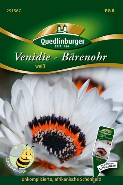 Venidie Bärenohr