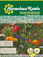 Kniekes Balkonparadies 2m²