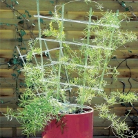 Pflanzengitter grün 30cm x 16cm
