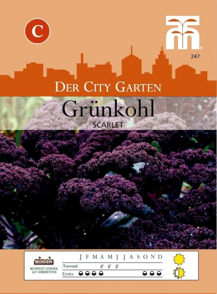Grünkohl Scarlet MHD 12/25