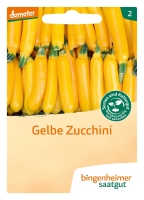 Bio-Gelbe Zucchini Solara