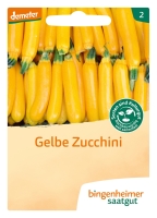 Bio-Gelbe Zucchini