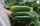Bio-Topfgurke Antje GU-3303