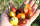 Bio-Paprika CA44 (Madame Paraplü)