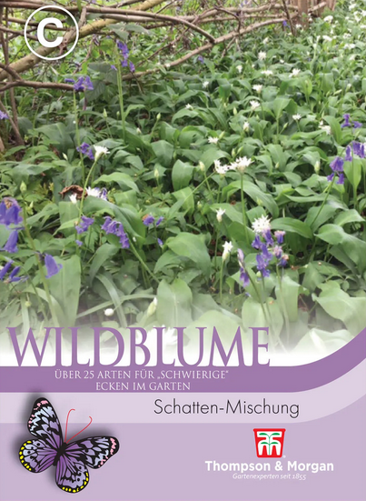 Wildblumen Schatten-Mischung