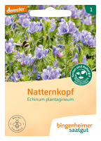 Bio-Natternkopf Wildblume
