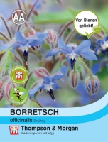 Borretsch officinalis, einjährig